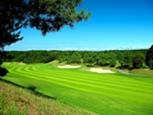 ���ꎲ�X�C���O,�X�R�A�A�b�v